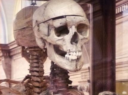 Burkeandhare Bukeskeleton