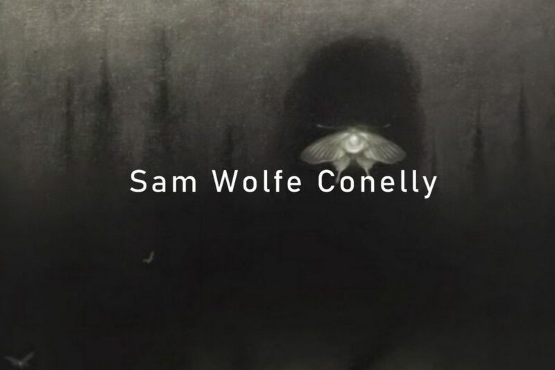Die dunklen Künste: Sam Wolfe Connelly