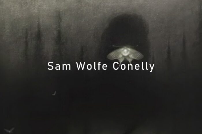 Die dunklen Künste: Sam Wolfe Connelly