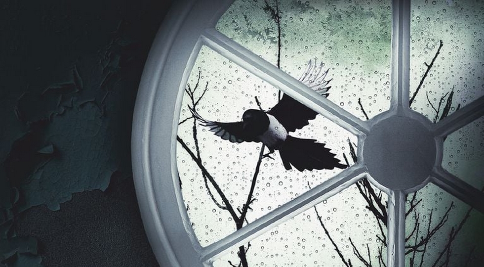 Der Tod der Mrs Westaway / Ruth Ware