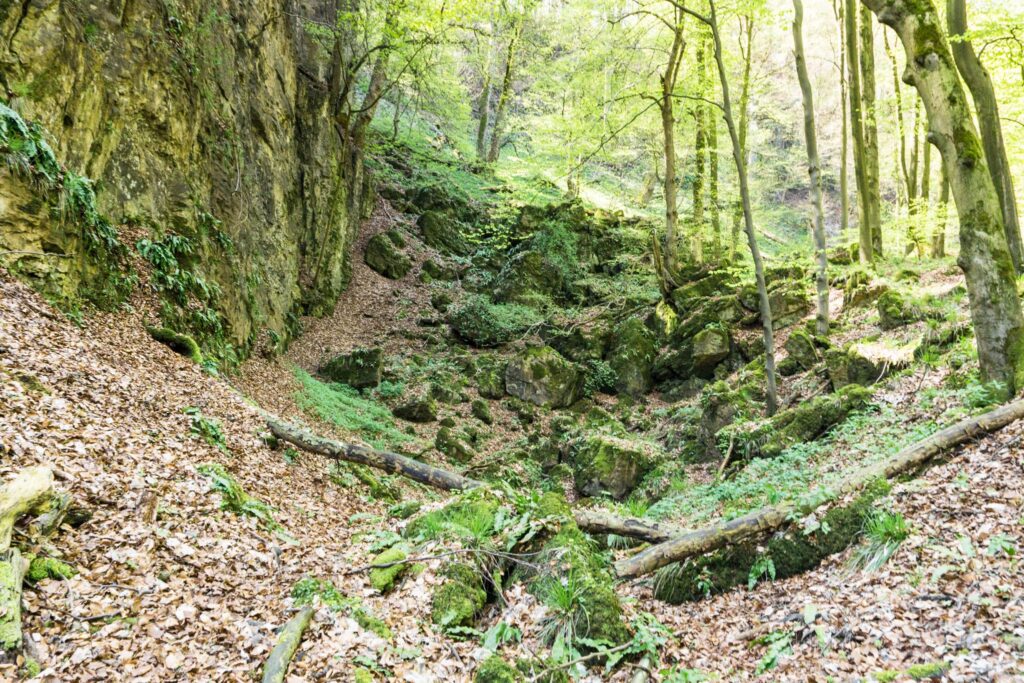 Teufelsküche Ith