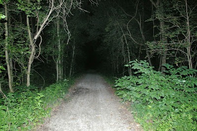 Zombie Road