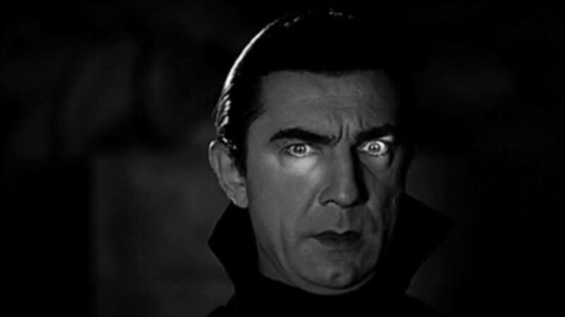 Bela Dracula