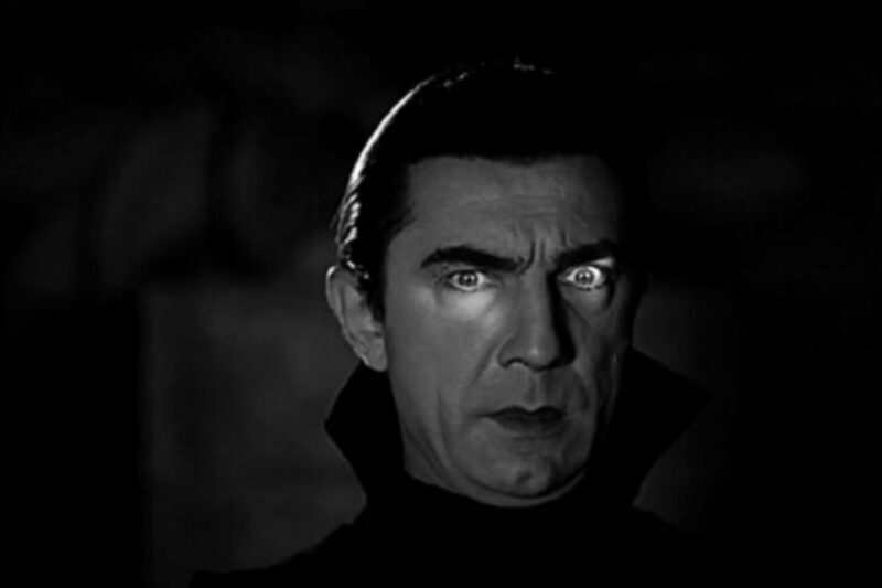 Bela Dracula