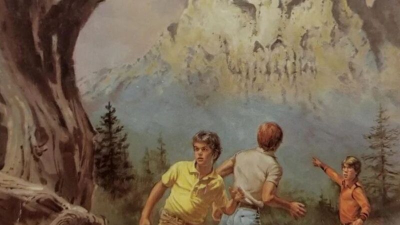 Die drei ??? und das Bergmonster / M. V. Carey