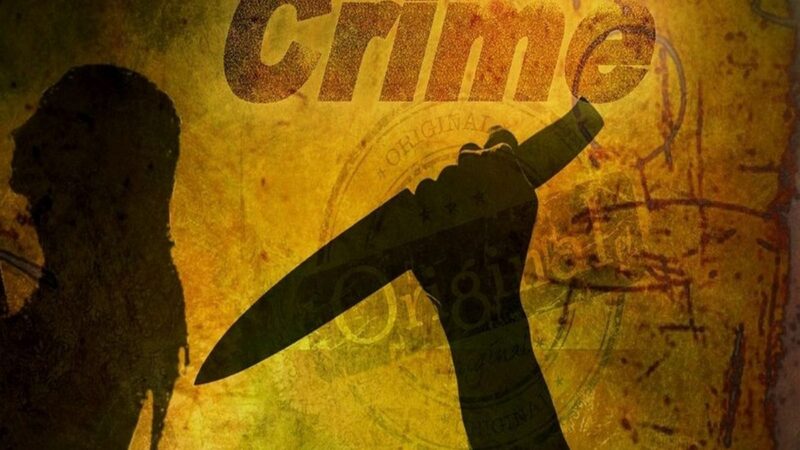 Die Geschichte des Kriminalromans