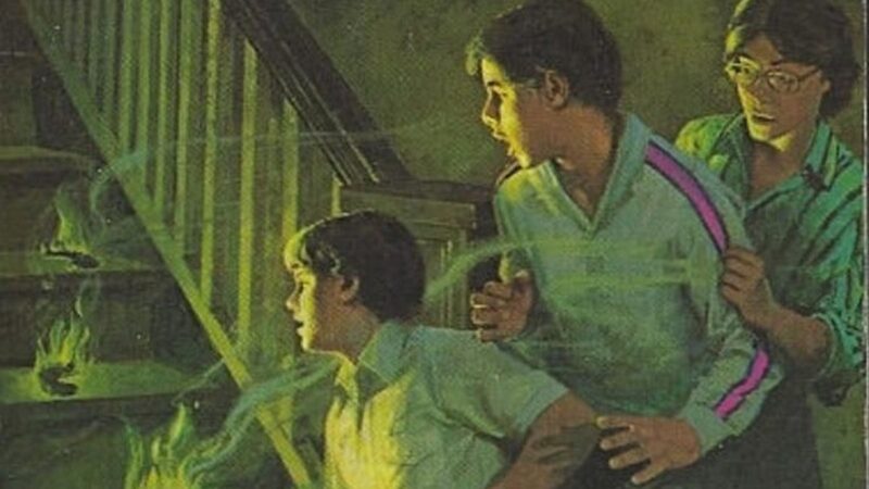 Die drei ??? und die flammende Spur / M. V. Carey