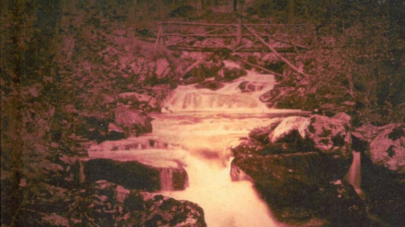 Die Augen der Heather Grace / David Pirie