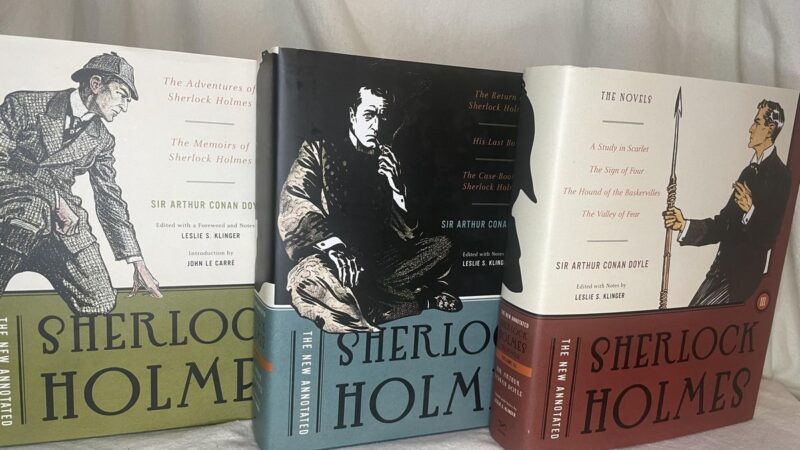 Literarische Obsessionen am Beispiel Sherlock Holmes