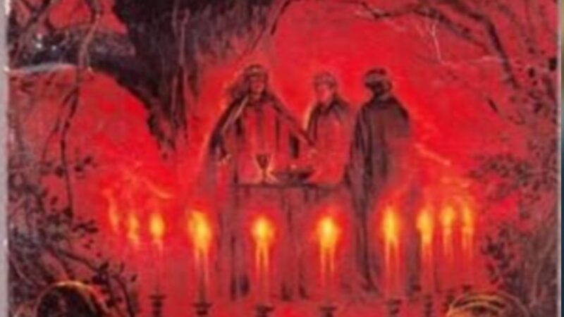 Die drei ??? und der magische Kreis / M. V. Carey