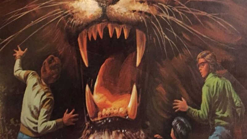 Die drei ??? und der rasende Löwe / Nick West