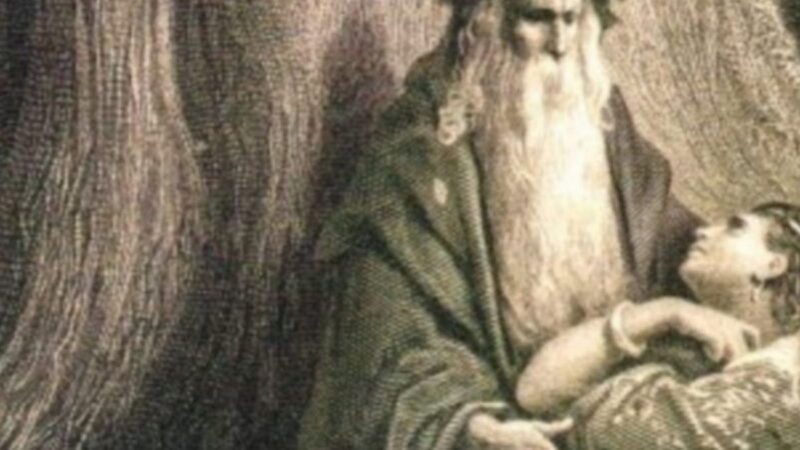 Merlin (Die Blaupause aller Zauberer)