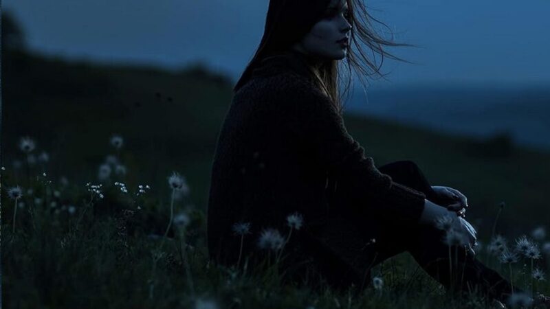 Der Pfad / Megan Miranda