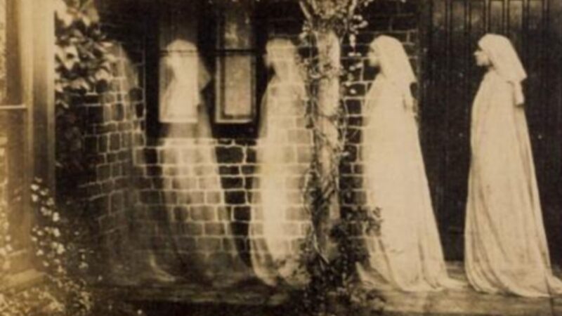 Die stillen Gefährten / Laura Purcell