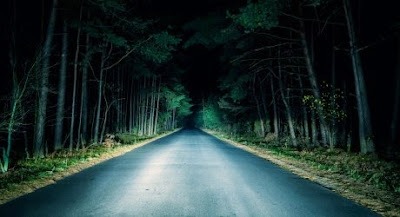 Scary Roas