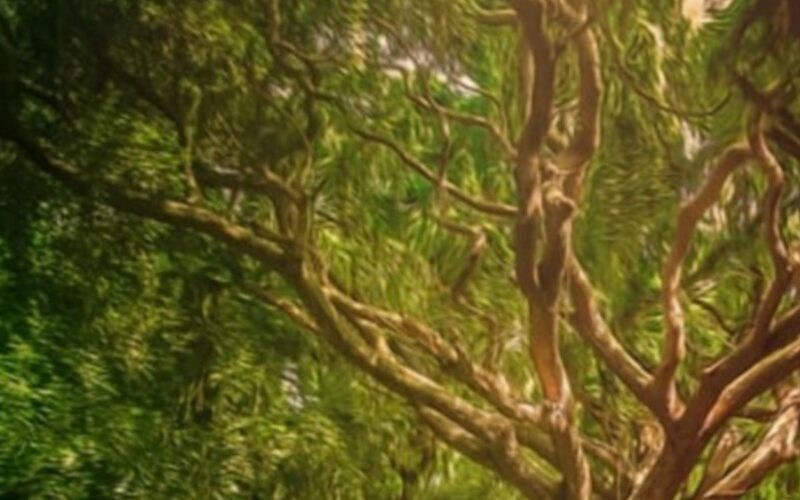 Wald in der Mythologie