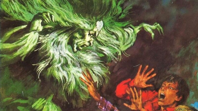 Die drei ??? und der Zauberspiegel / M. V. Carey