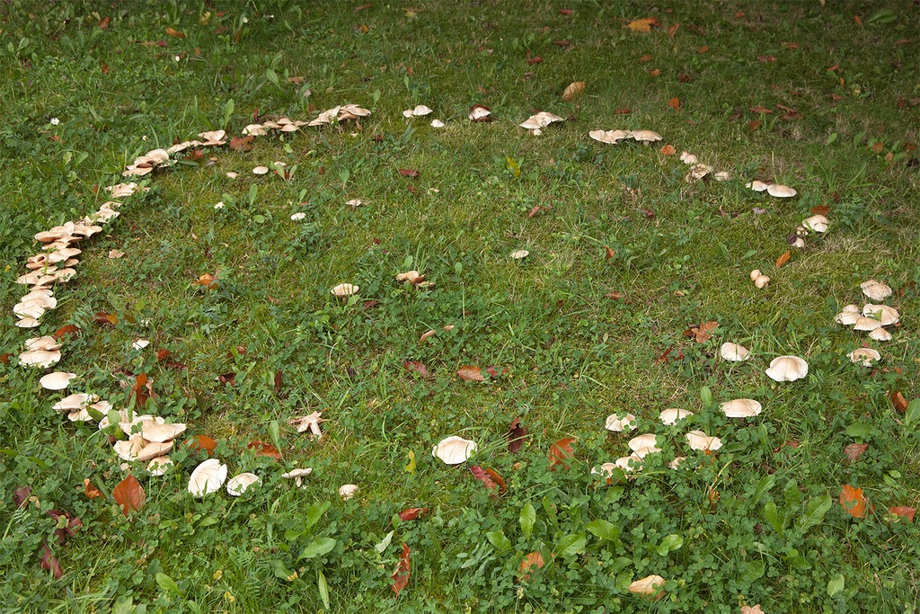 hexenkreis
