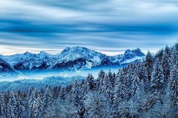 winter